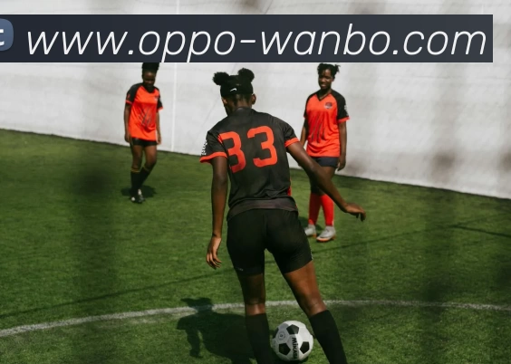 多媒体互动体验