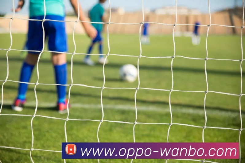 万博体育APP 高清赛事图